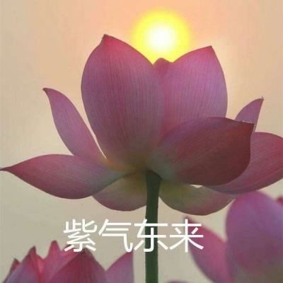孔明没想到手游下载